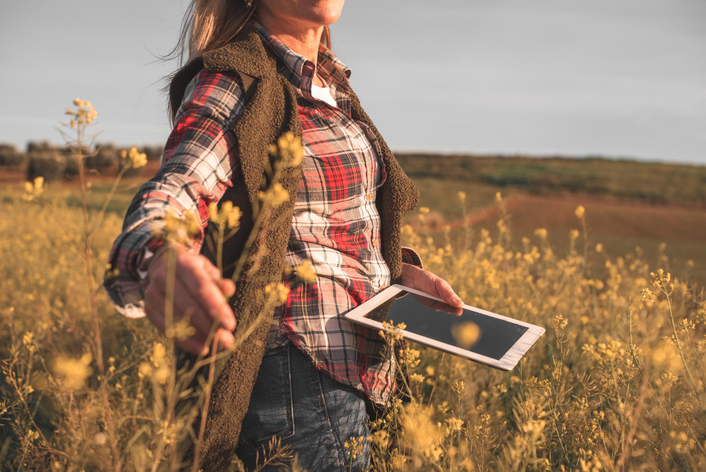 Parkavimas Rygos oro uoste