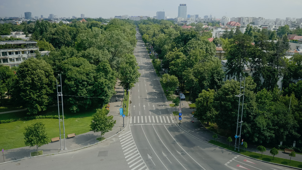 Kur ir kaip švęsti Baltijos kelio dieną 2026 metais